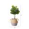 3ft. Artificial Fiddle Leaf Fig Tree With Handmade Cotton & Jute Woven Planter Set DIY Kit